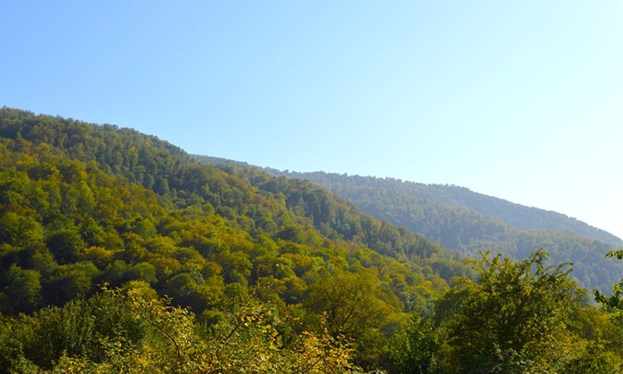 Tavush Region Integrated and Balanced Economic Development