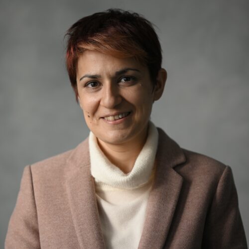 Անի Ավետիսյան